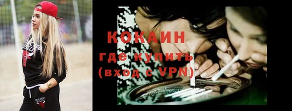 apvp Гатчина