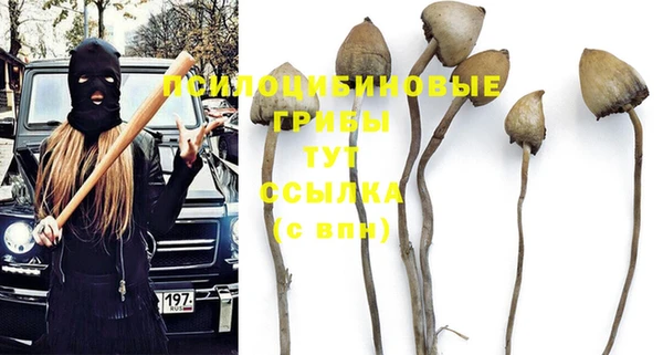 mix Баксан