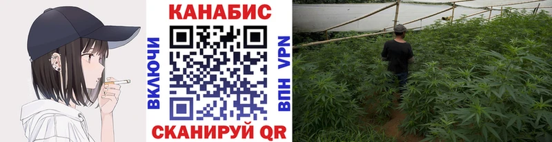 Шишки марихуана Amnesia  Колпашево 